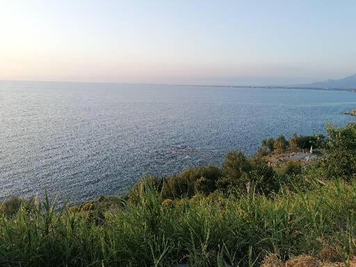 I Baronetti In Centro Bed and Breakfast Agropoli Eksteriør billede